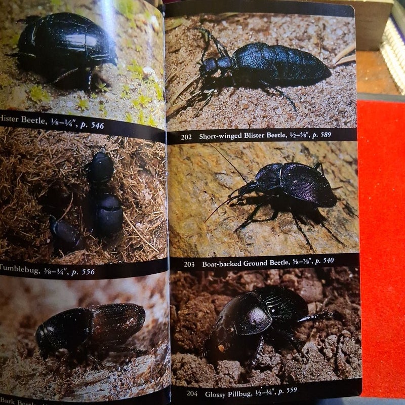 National Audubon Society Field Guide to Insects and Spiders