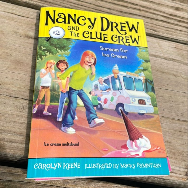 Nancy Drew and The Clue Crew Book 1-4