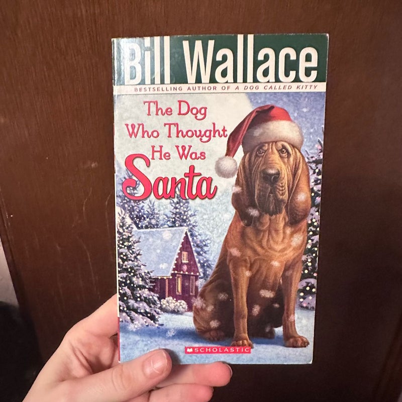 The dog who thought he was Santa 