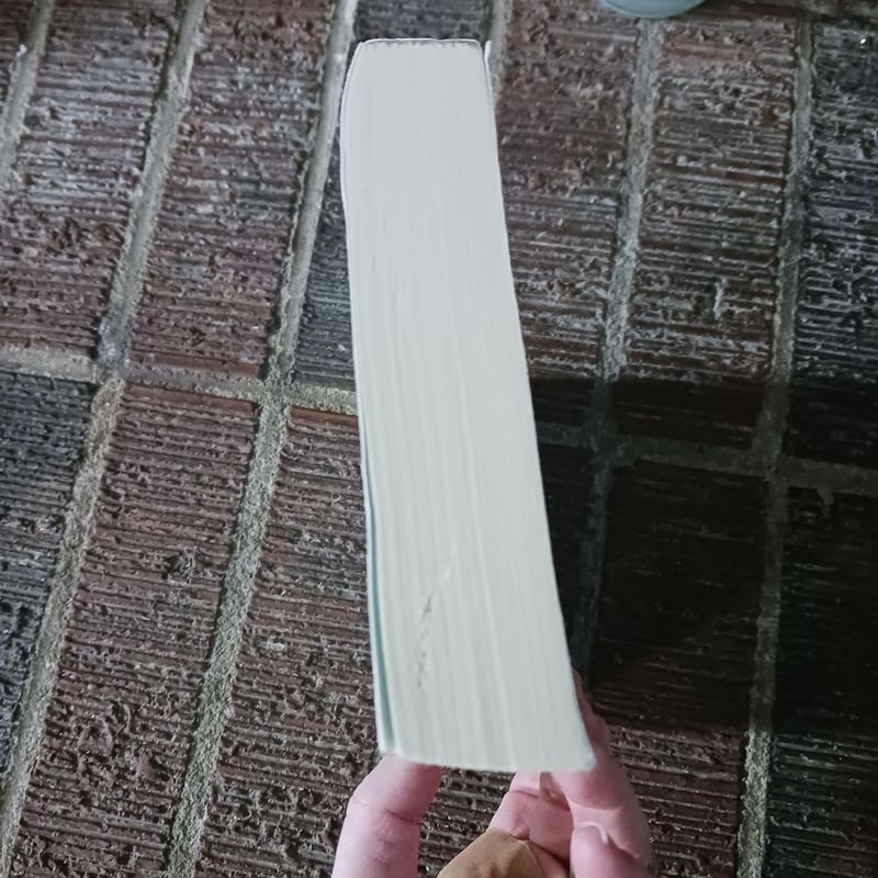 The Southern Side of Paradise