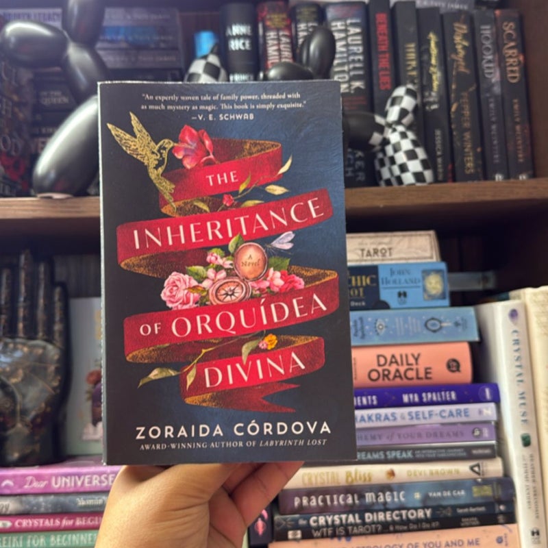 The Inheritance of Orquídea Divina