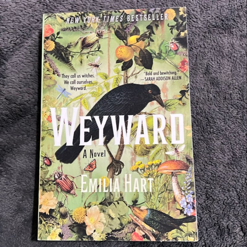 Weyward