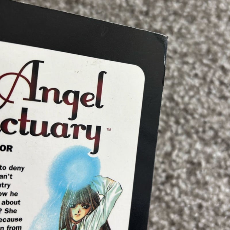 Angel Sanctuary, Vol. 3