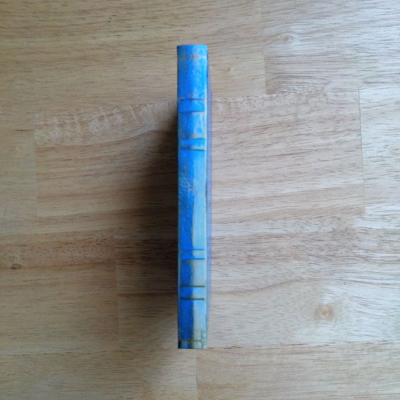 Doctor Who: River Song's Mini-Journal
