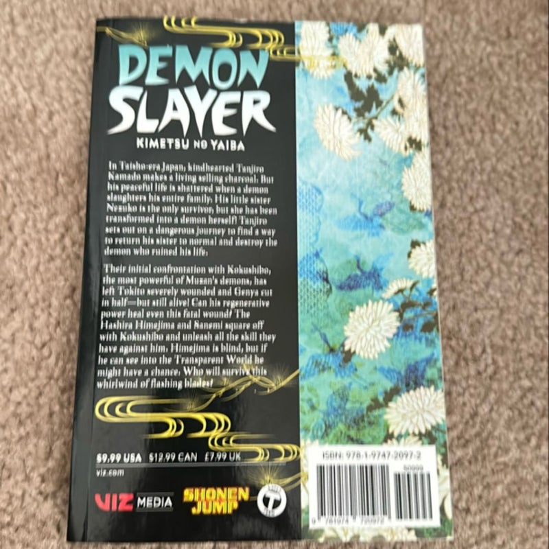 Demon Slayer: Kimetsu No Yaiba, Vol. 20