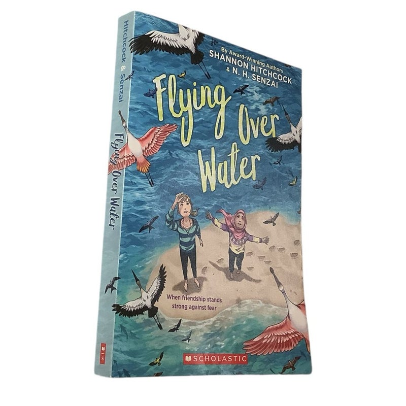 Flying Over Water
