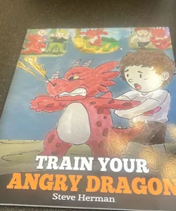 Train Your Angry Dragon