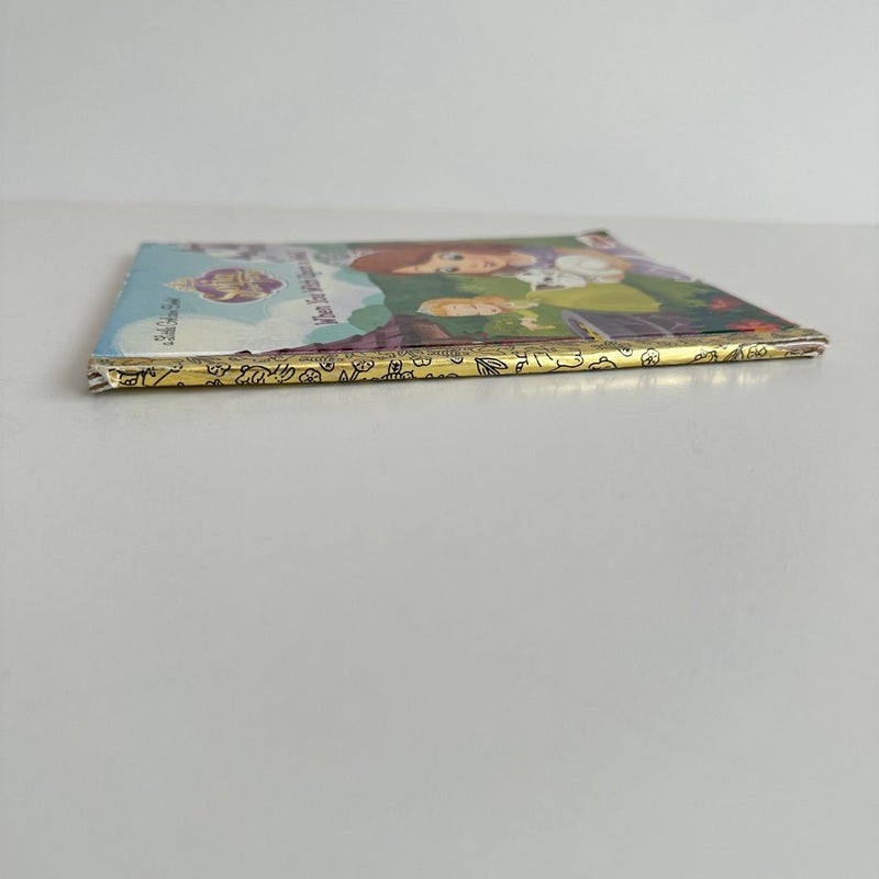 Sofia the First: When You Wish Upon a Well, Little Golden Book