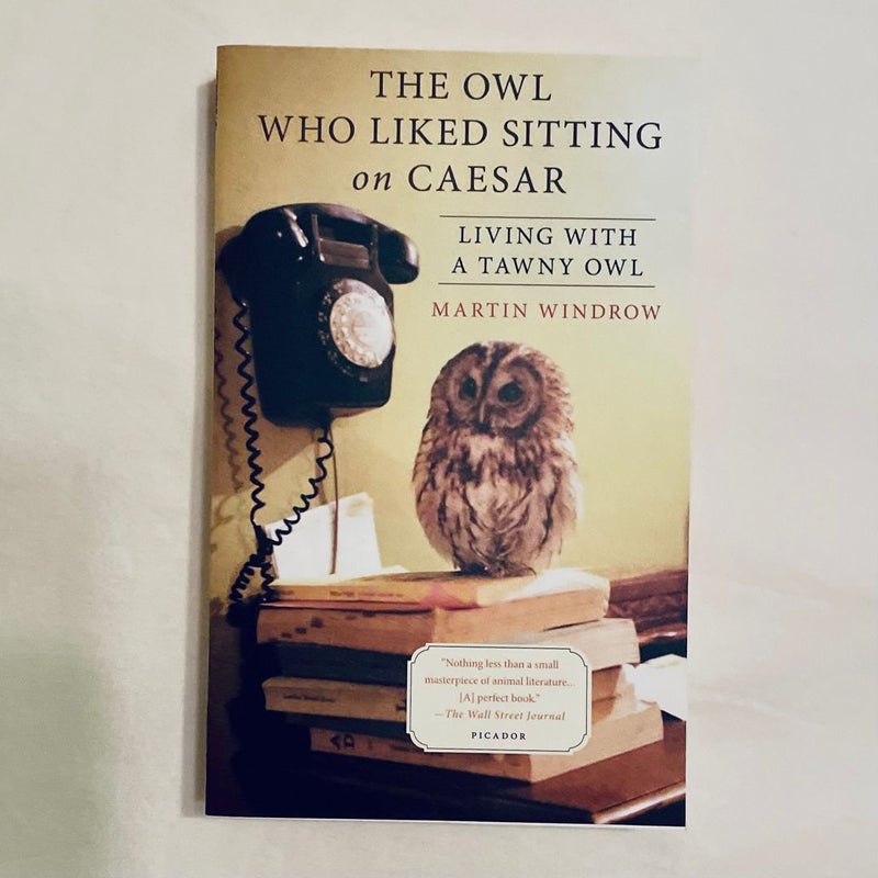 The Owl Who Liked Sitting on Caesar