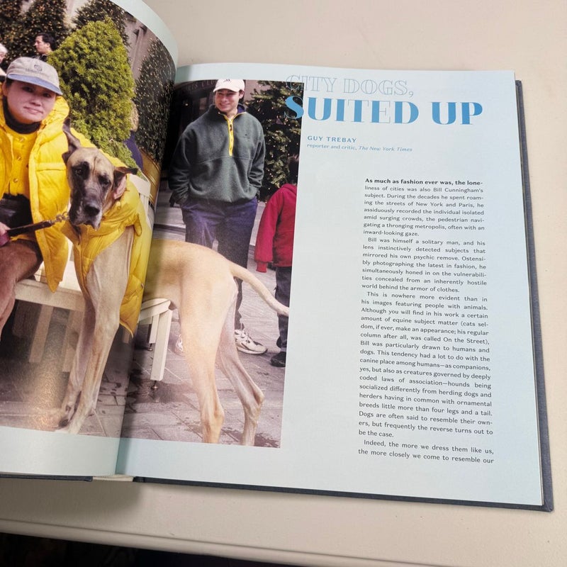 Bill Cunningham: on the Street