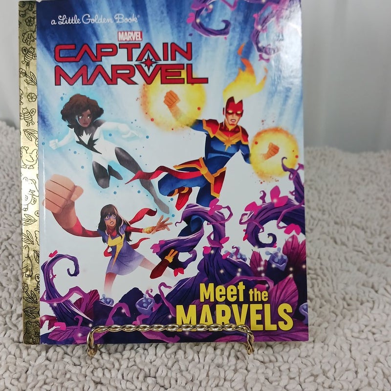 Meet the Marvels (Marvel)