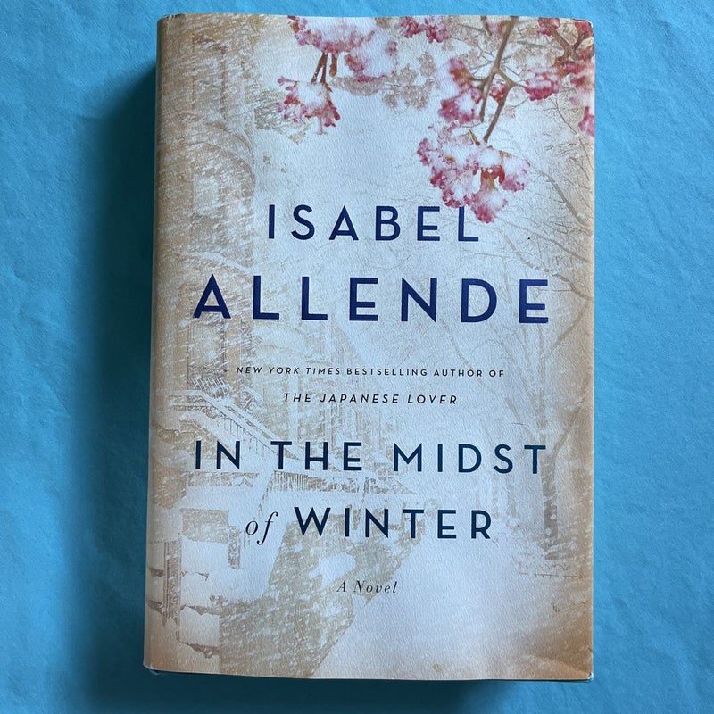 In the Midst of Winter by Isabel Allende, Hardcover | Pangobooks