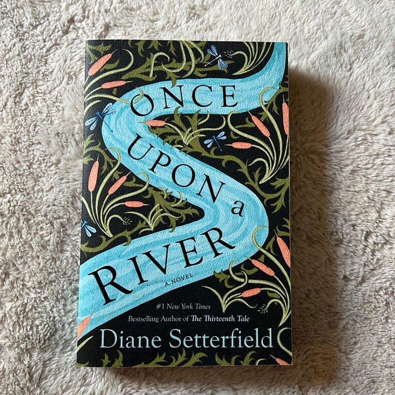 Once upon a River