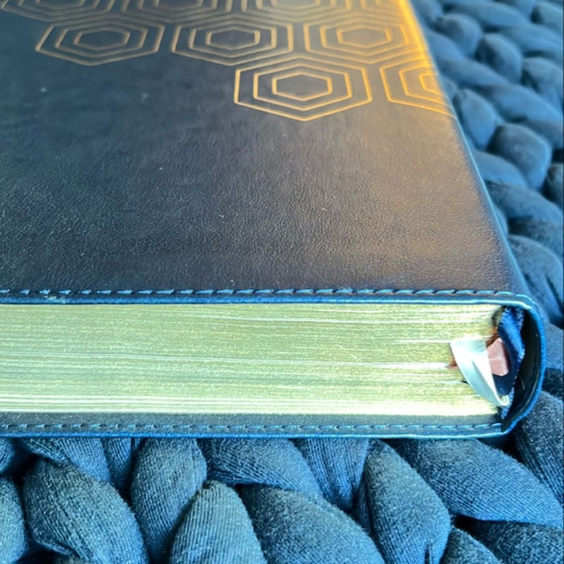 One Step Closer Bible NLT