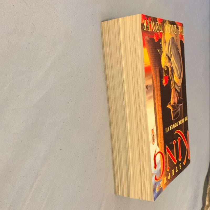 The Dark Tower VII