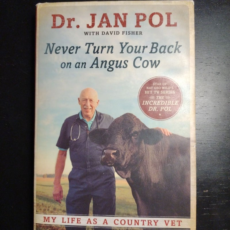 Never Turn Your Back on an Angus Cow