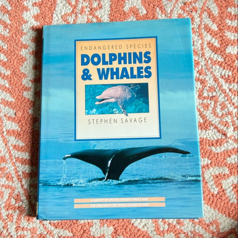 Dolphins and Whales