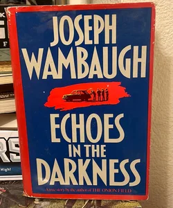 Echoes in the Darkness 