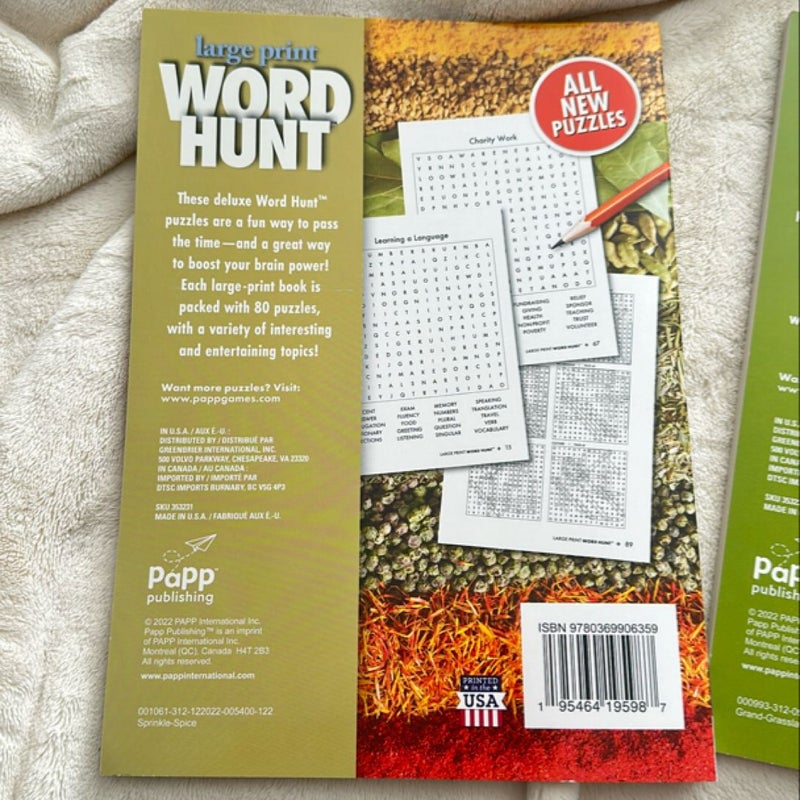 Large Print Word Hunt 