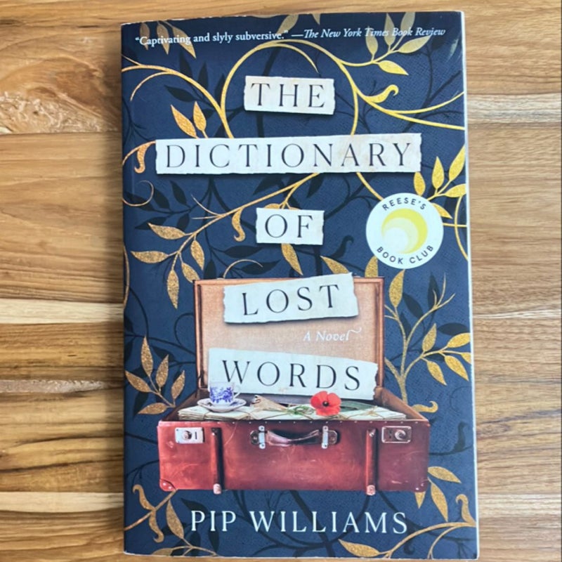 The Dictionary of Lost Words