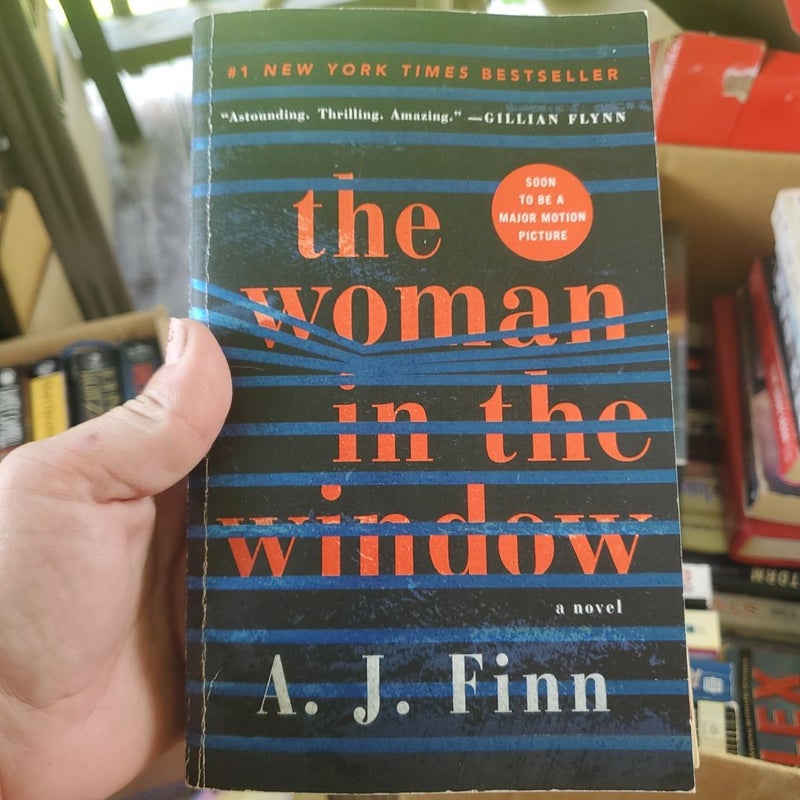 The Woman in the Window