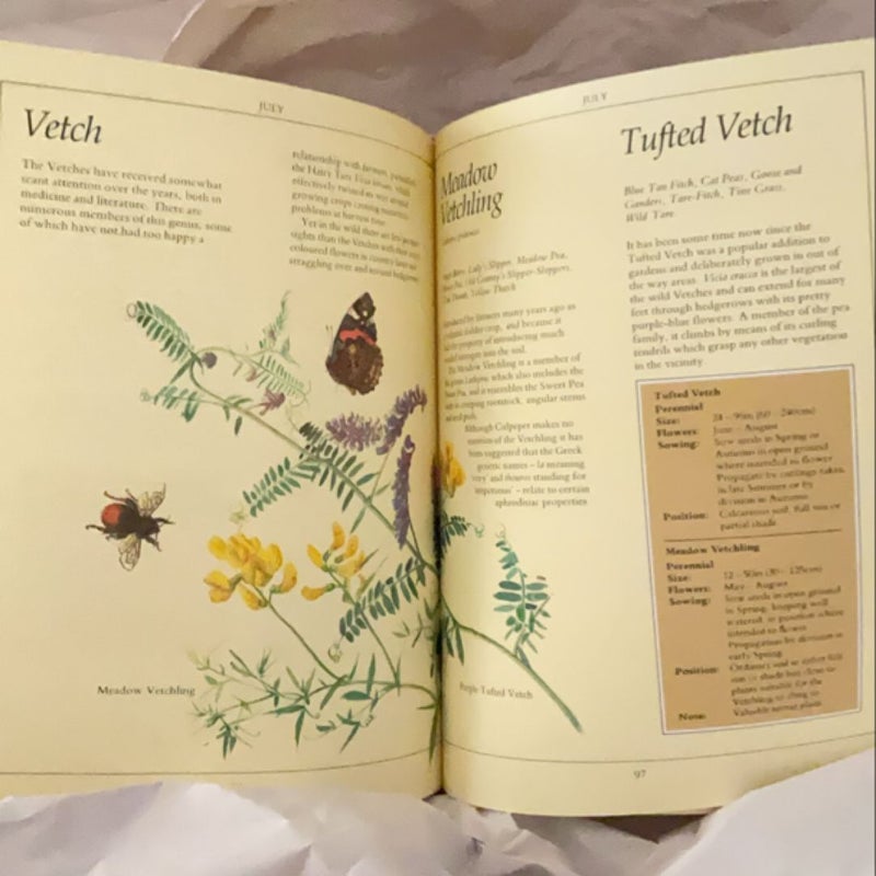 The Country Diary Book of Creating a Wild Flower Garden