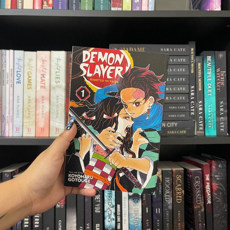 Demon Slayer: Kimetsu No Yaiba, Vol. 1