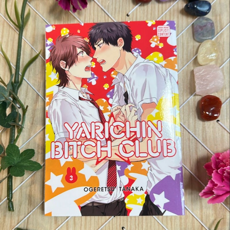 Yarichin Bitch Club, Vol. 3