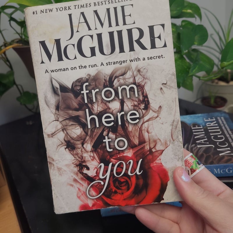 Jaime McGuire bundle