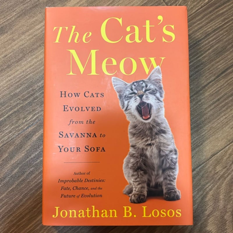 The Cat's Meow