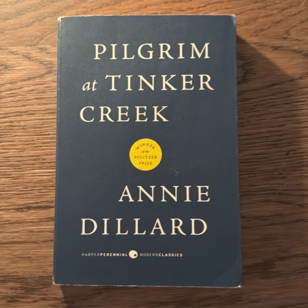 Pilgrim at Tinker Creek