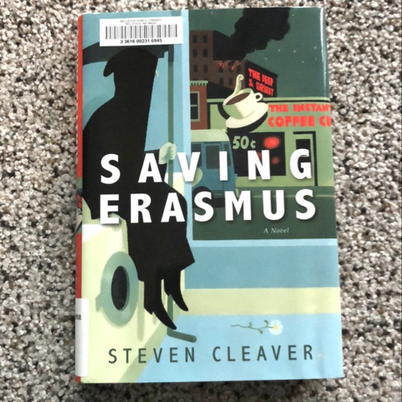 Saving Erasmus