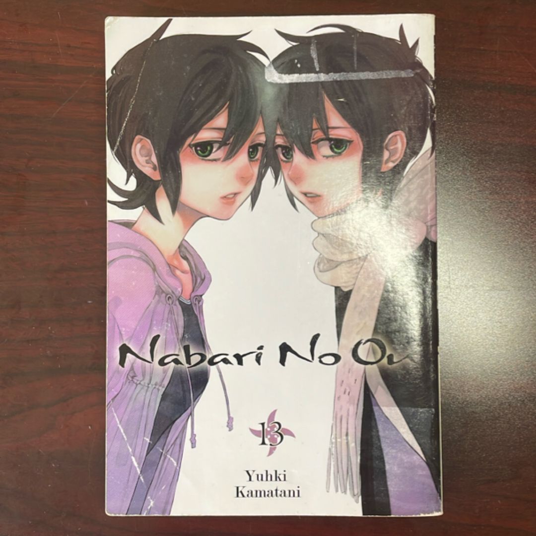 Nabari No Ou, Vol. 13