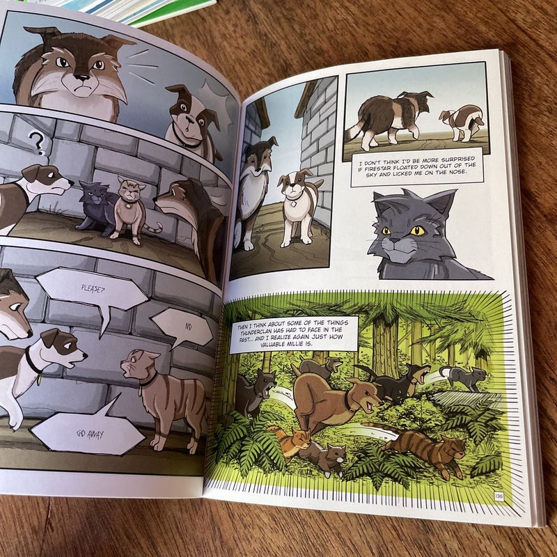 Warriors- Graystripe’s Adventure graphic novel