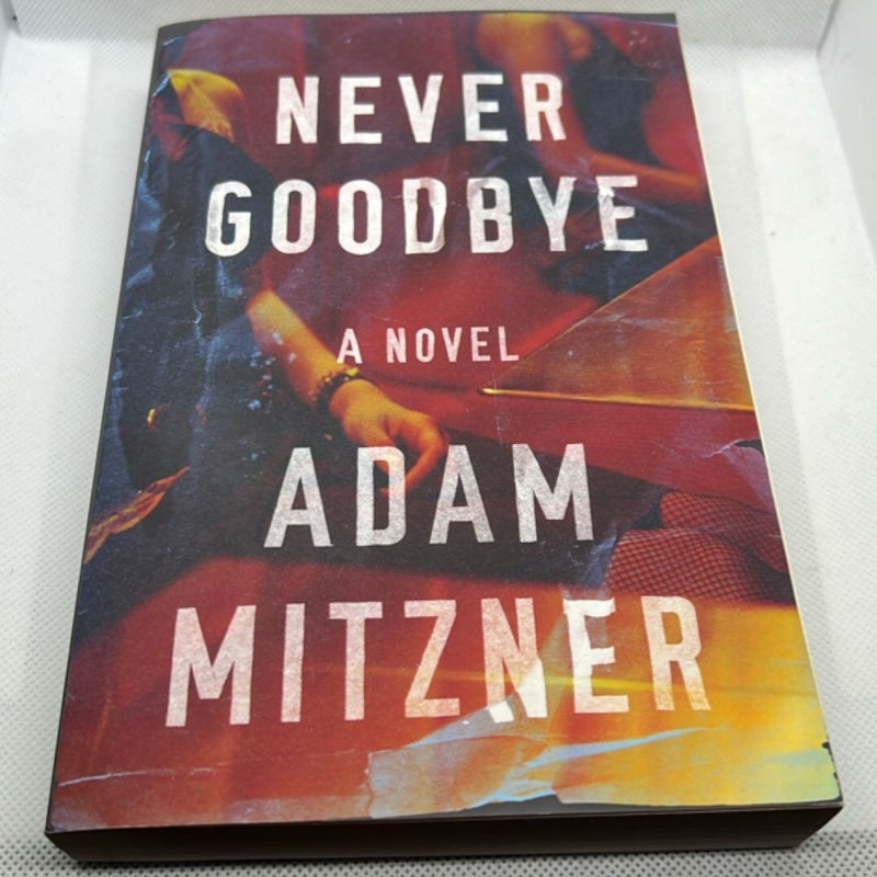 Never Goodbye