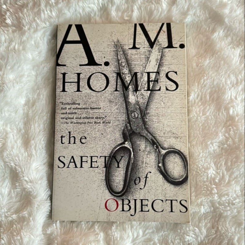 The Safety of Objects