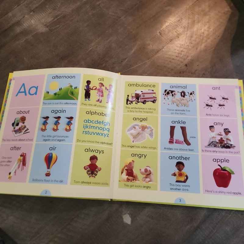The Usborne Very First Dictionary by Caroline Young, Felicity Brooks