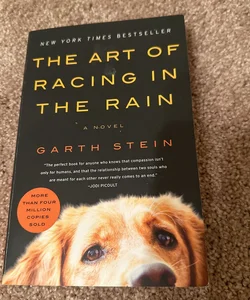 The Art of Racing in the Rain