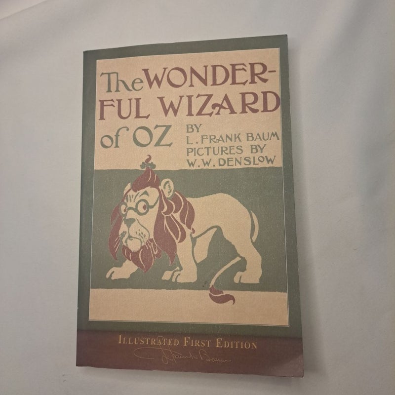 The wonderful wizard of ozz 