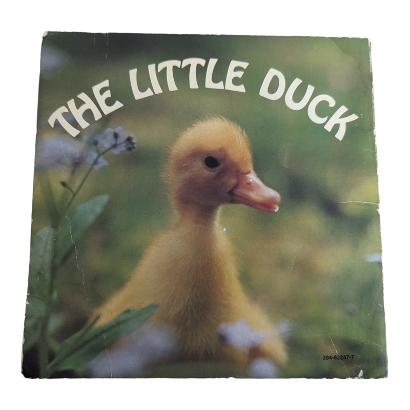 The Little Duck