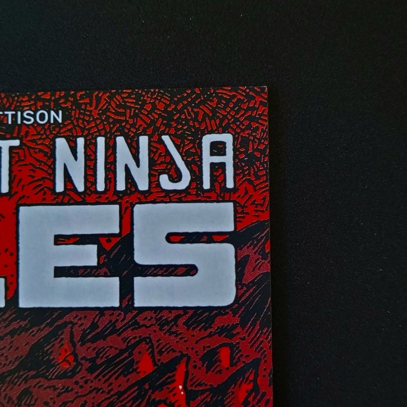 Teenage Mutant Ninja Turtles #141