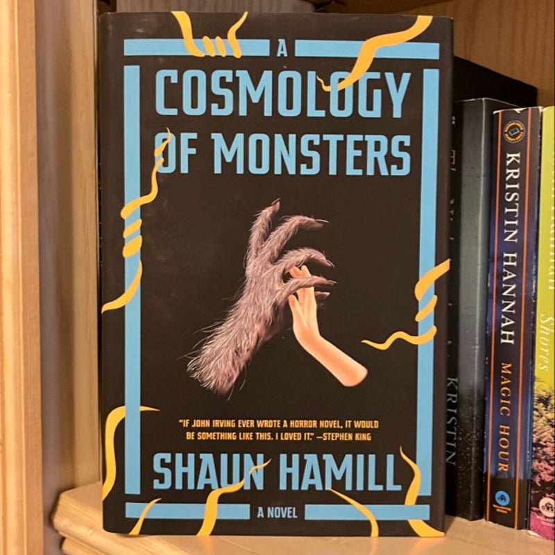 A Cosmology of Monsters