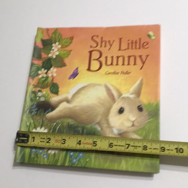 The Shy Little Bunny