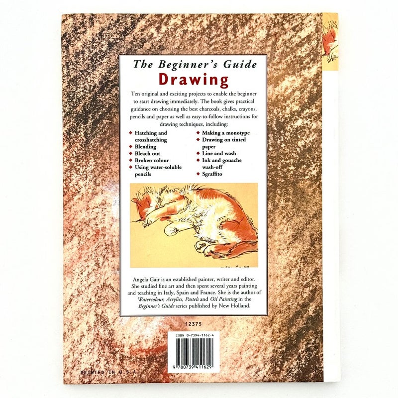 The Beginners Guide to Drawing