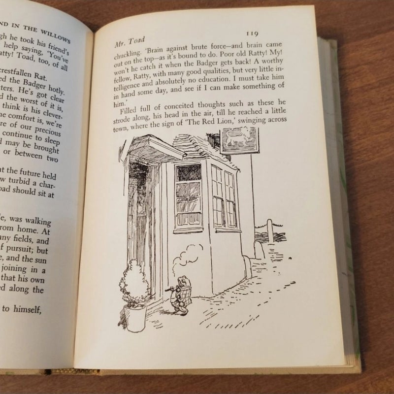 The Wind In The Willows