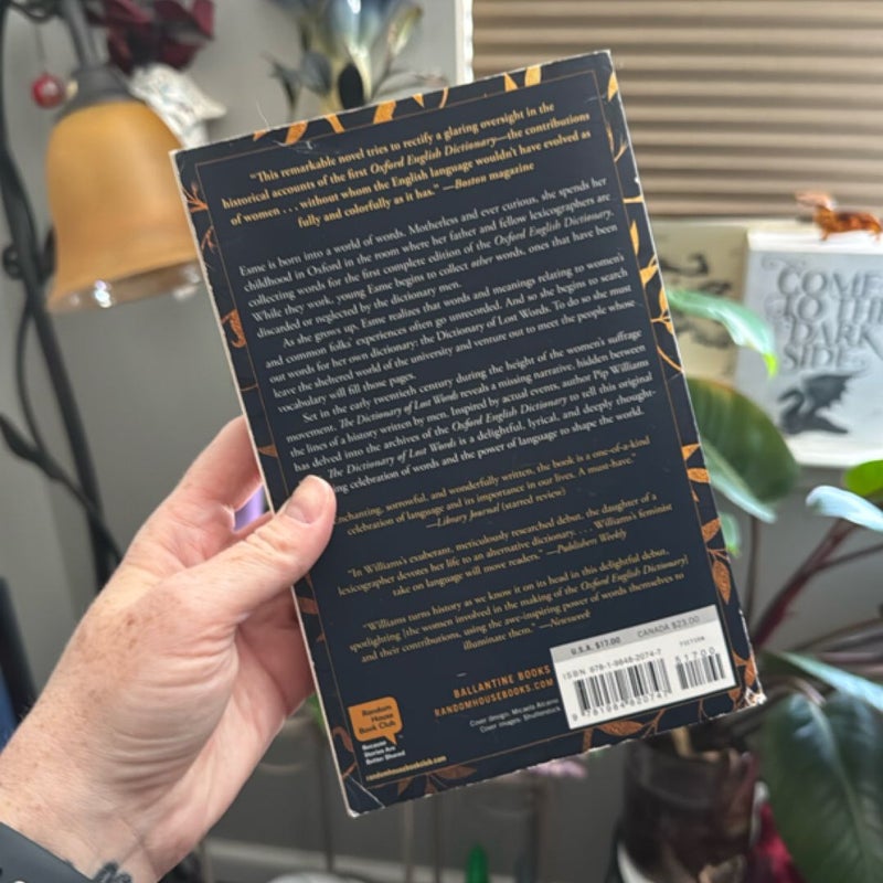 The Dictionary of Lost Words