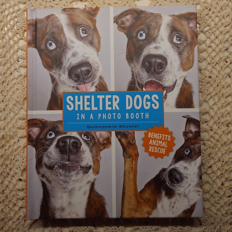 Shelter Dogs in a Photo Booth