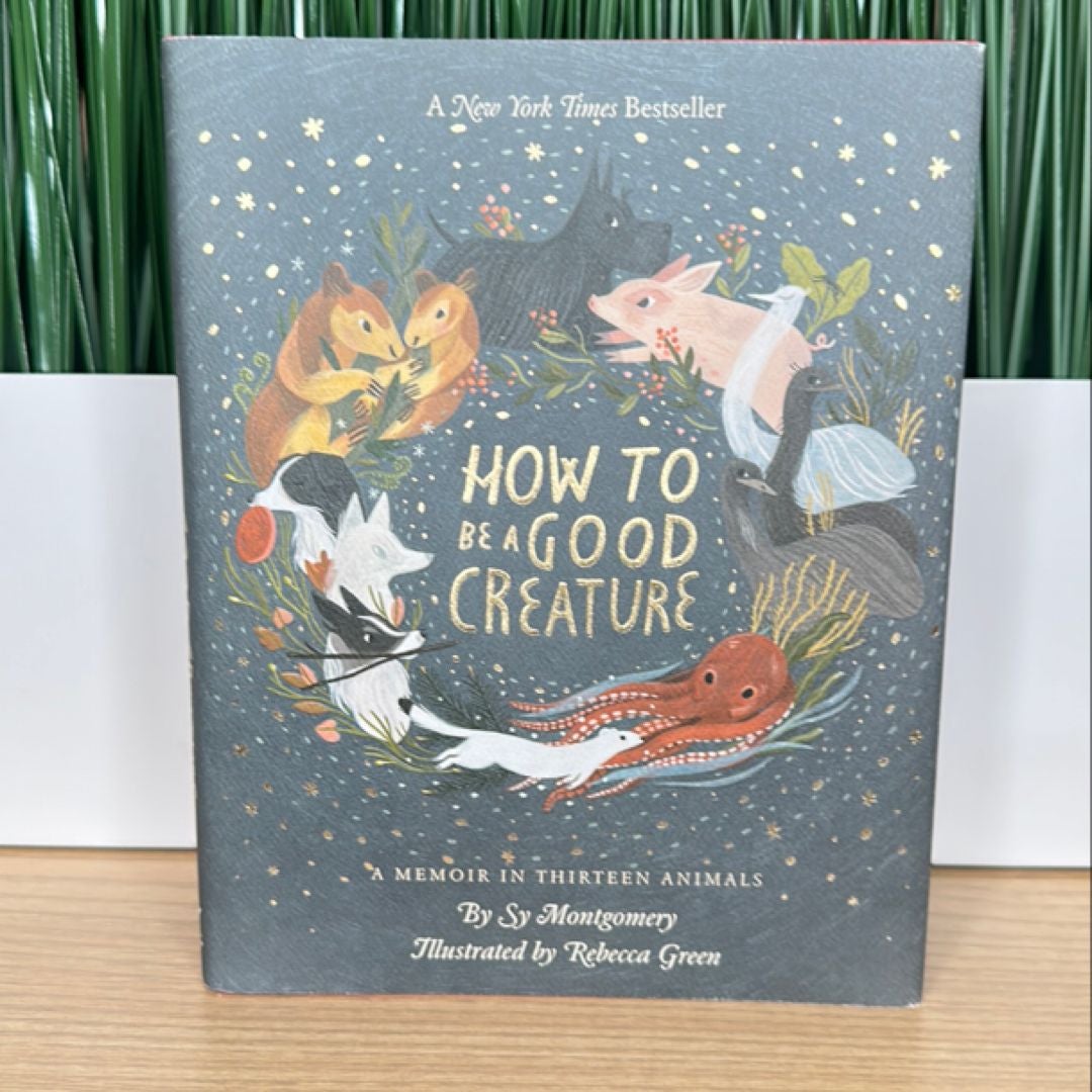 Sale image for bceabd81-6f64-4ff0-8b5e-7b482653483c-KUe2NACROrb3NtKOnWHQ433XDMI2