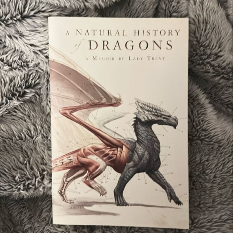 A Natural History of Dragons