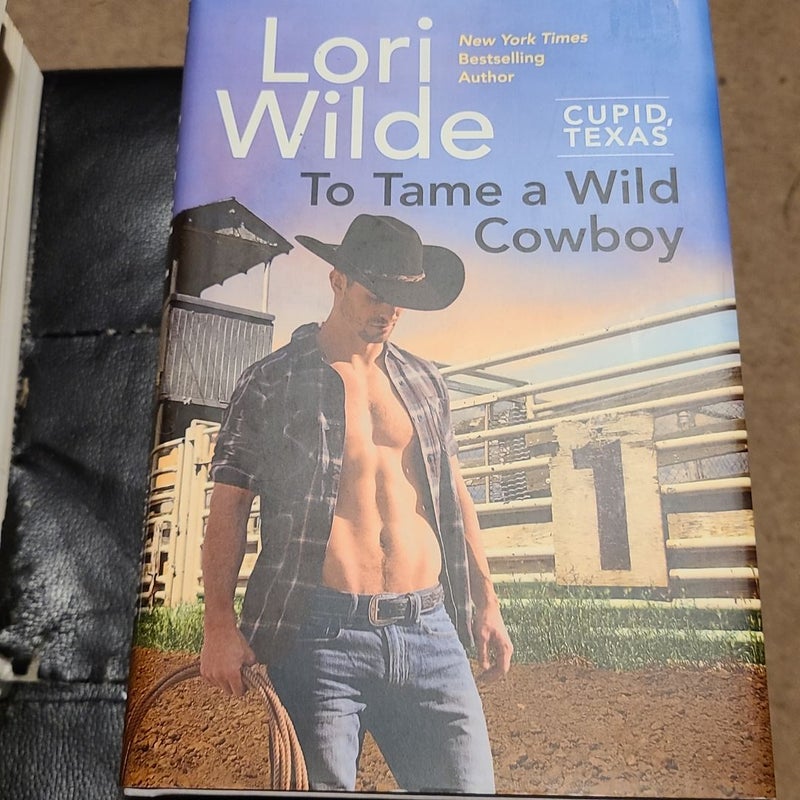 To Tame a Wild Cowboy